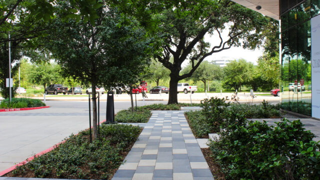 Allen Pavilion Ground Level Sidewalk