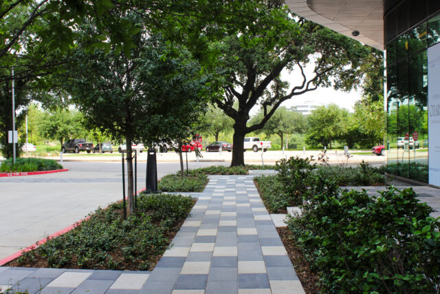 Allen Pavilion Ground Level Sidewalk