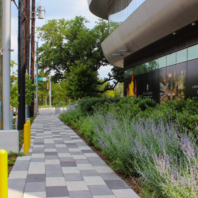 Allen Pavilion Ground Level Pavers