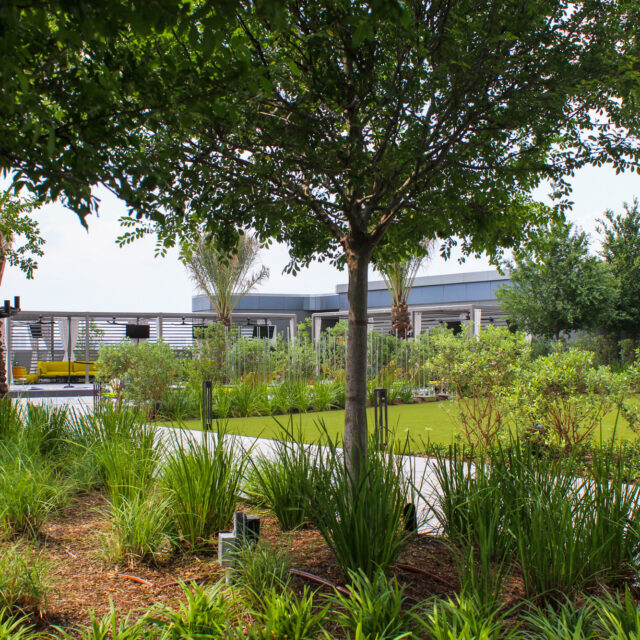 Landscaping at Thompson Hotel