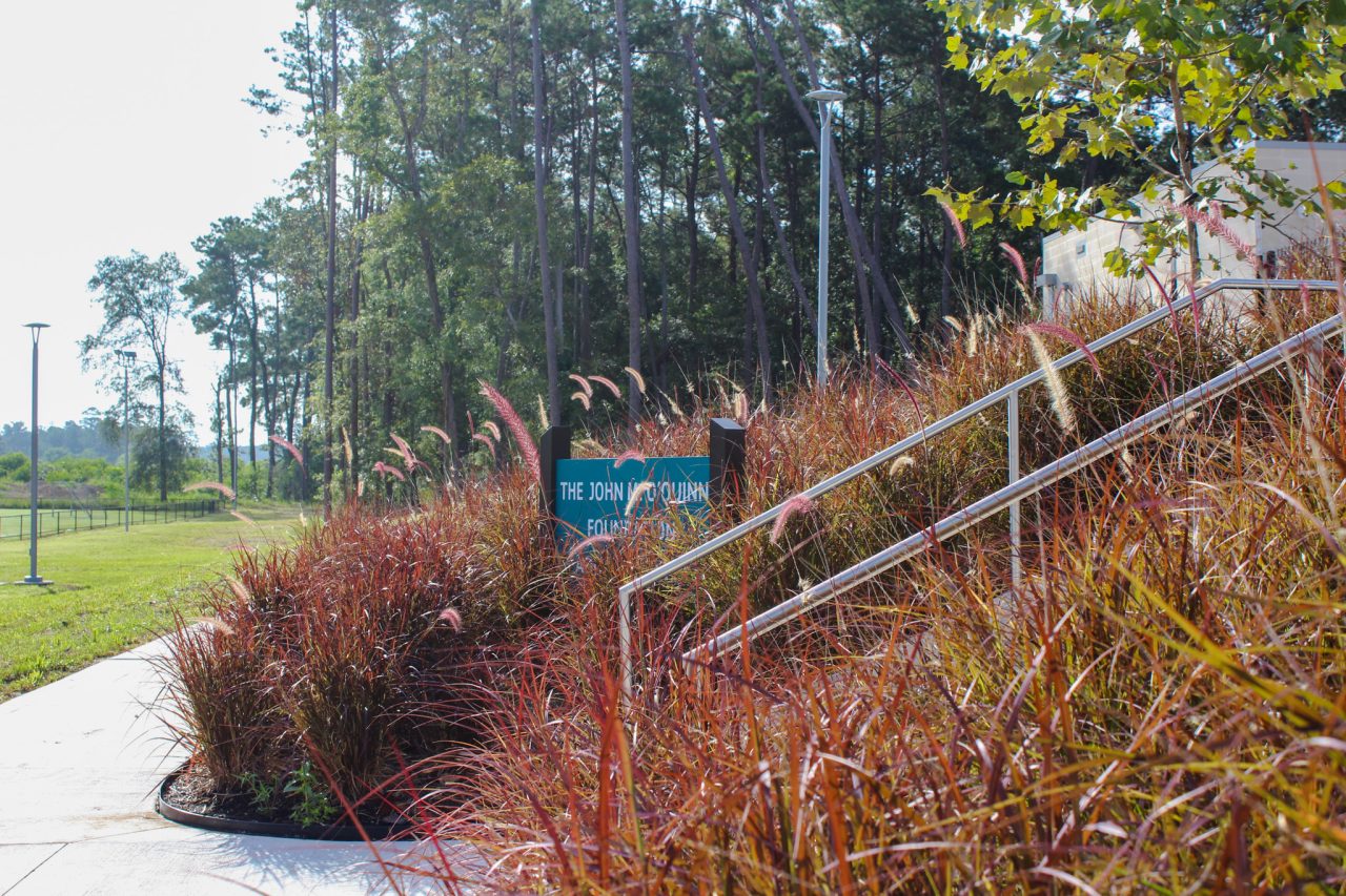 Beautiful landscaping at John M. O'Quinn Aquatic Center